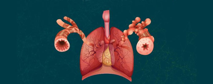 Best Pulmonologist in Belapur